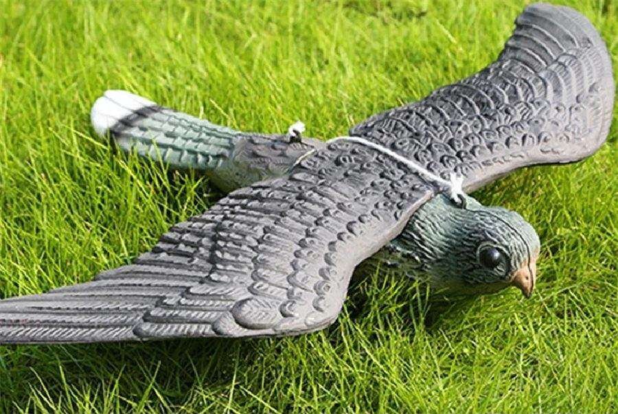 Flying Falcon Bird Decoy