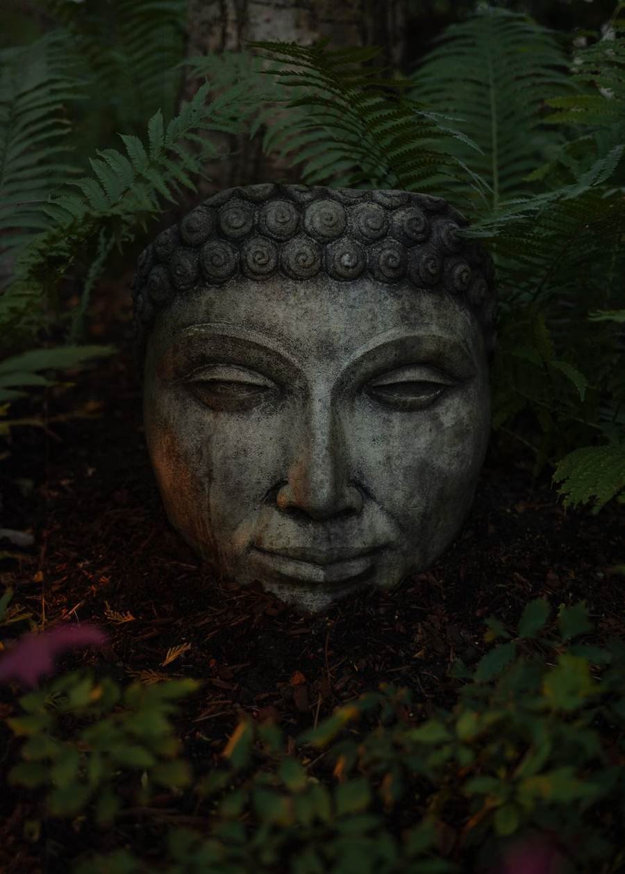 The Quiet Buddha